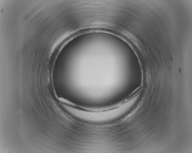 X0000062911069200602031851