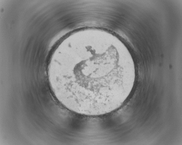 X0000062911070200602031851