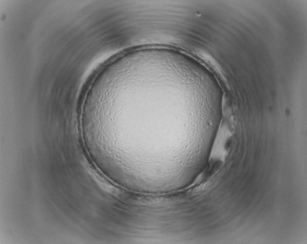 X0000062911072200602031851