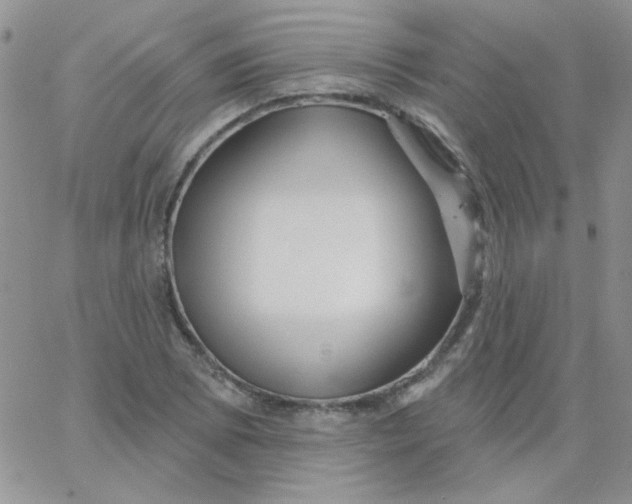 X0000062911073200602031851