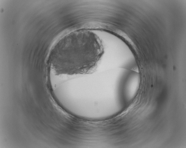 X0000062911075200602031851