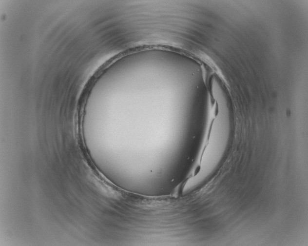 X0000062911076200602031851