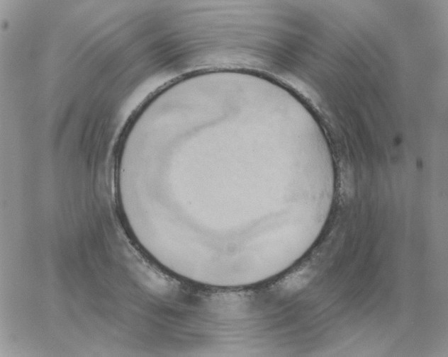 X0000062911078200602031851