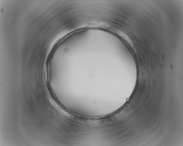 X0000062911080200602031851