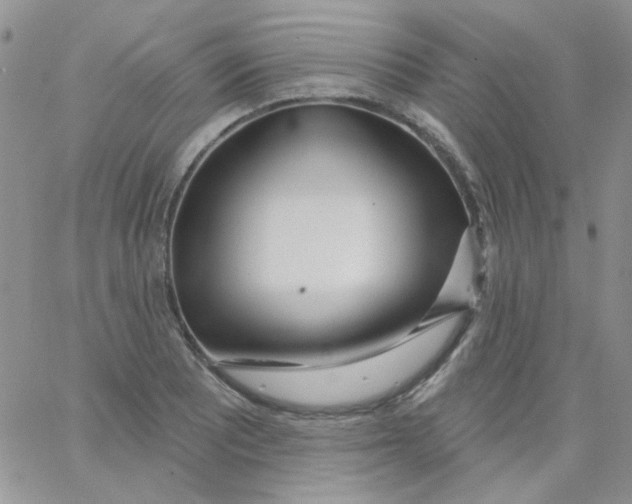 X0000062911081200602031851