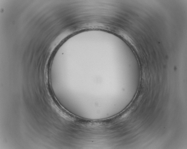 X0000062911082200602031851