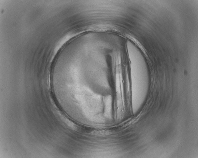 X0000062911083200602031851