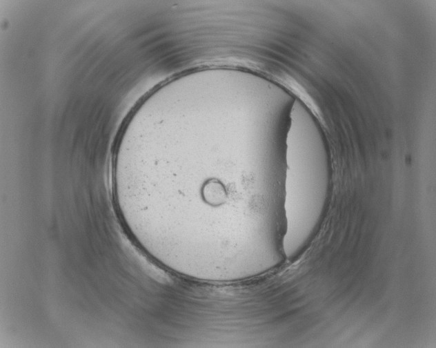 X0000062911084200602031851