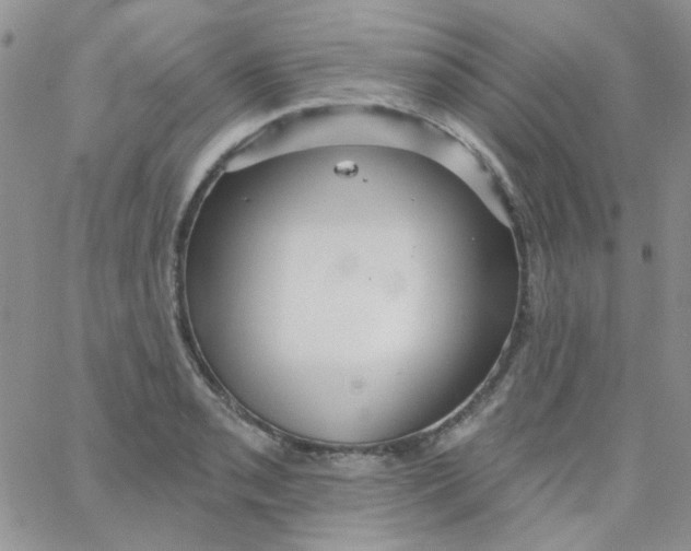 X0000062911085200602031851