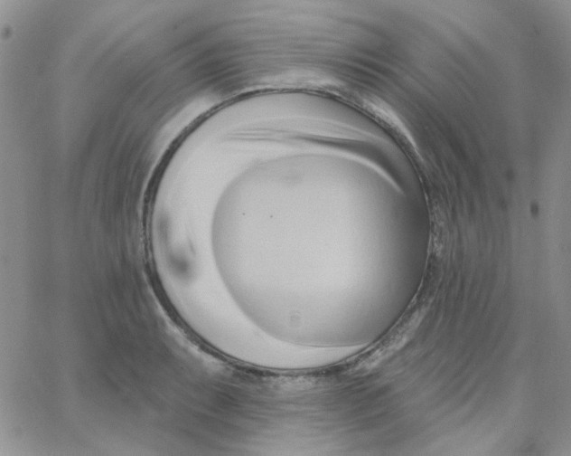 X0000062911087200602031851