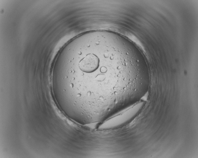 X0000062911088200602031851