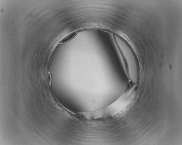 X0000062911089200602031851