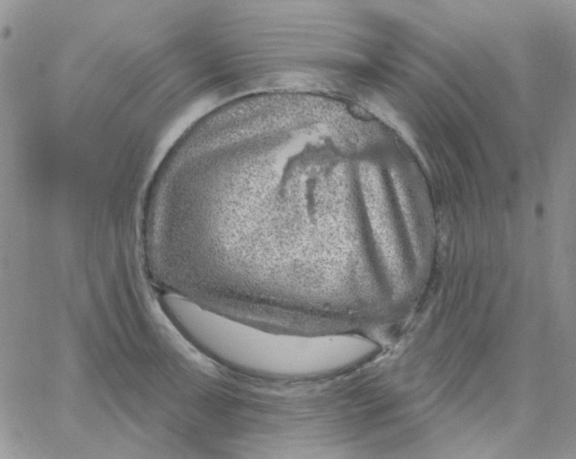 X0000062911091200602031851