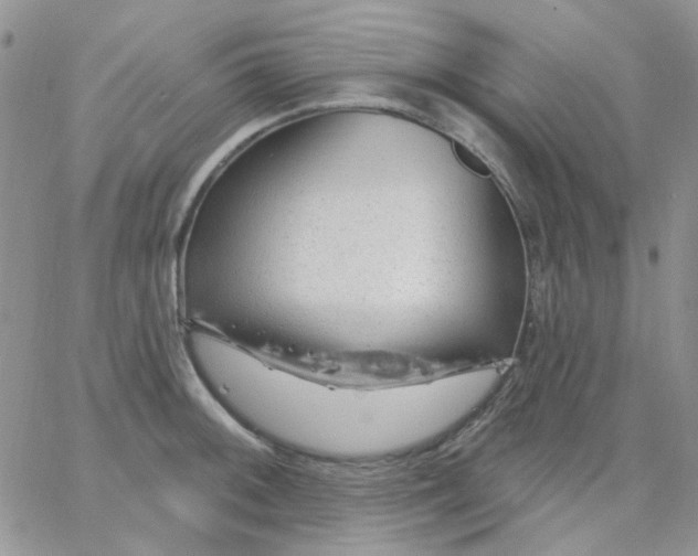 X0000062911092200602031851