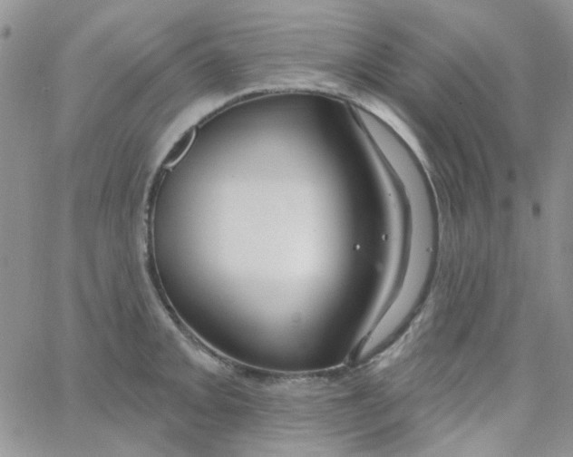 X0000062911093200602031851