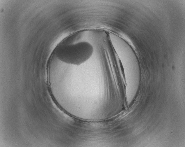 X0000062911095200602031851