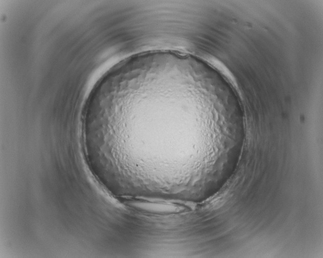 X0000062911096200602031851