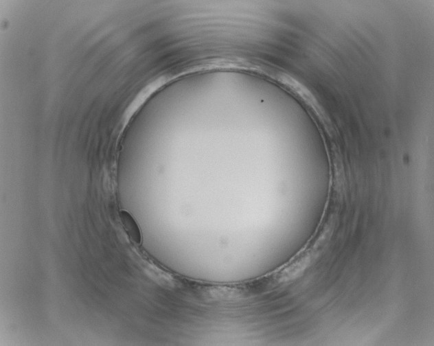 X0000062911097200602031851