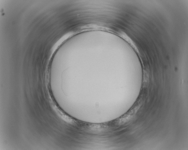 X0000062911098200602031851