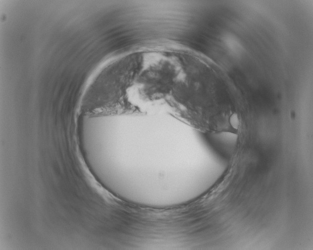 X0000062911099200602031851