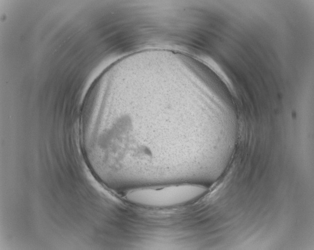 X0000062911100200602031851