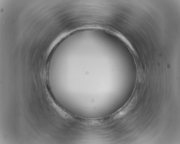 X0000062911101200602031851