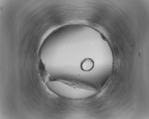 X0000062911102200602031851