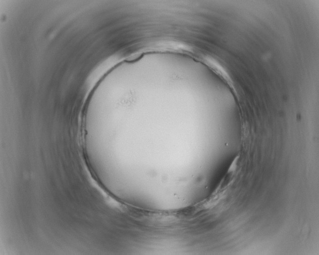 X0000062911103200602031851