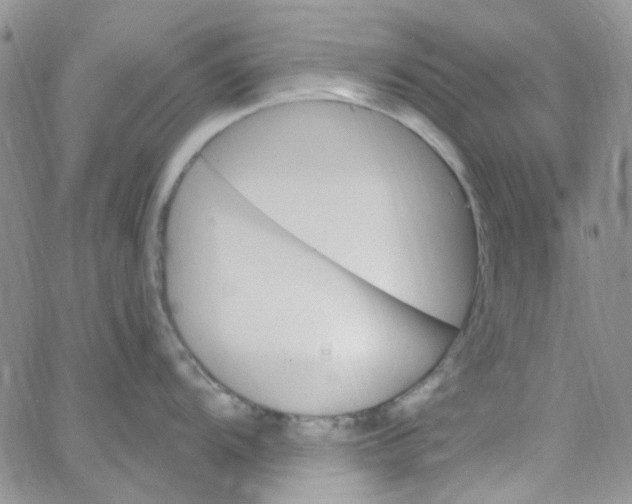 X0000062911104200602031851