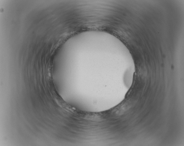 X0000062911106200602031850