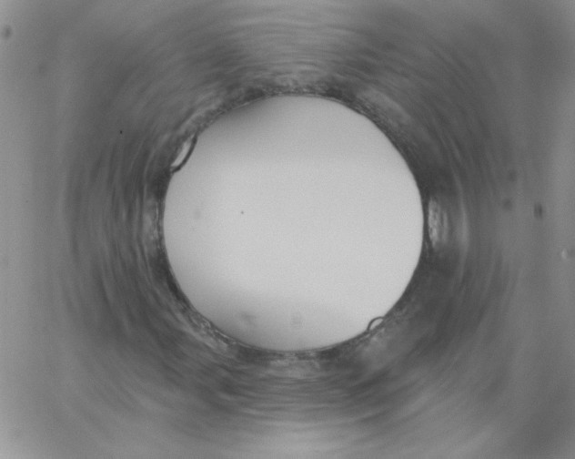 X0000062911107200602031850