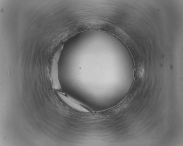 X0000062911108200602031850