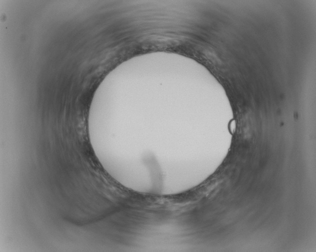 X0000062911109200602031850