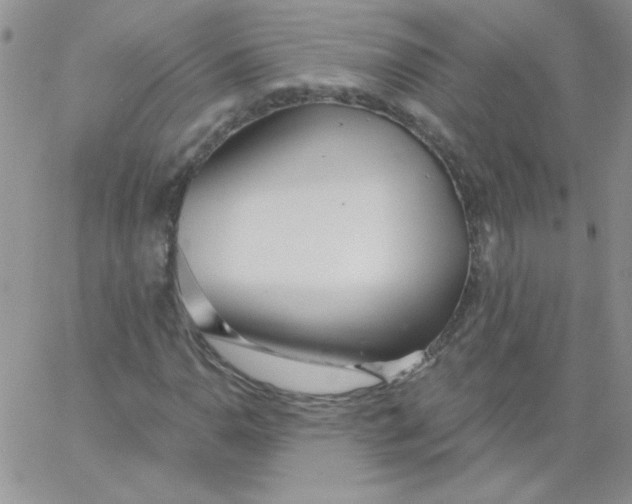 X0000062911110200602031850