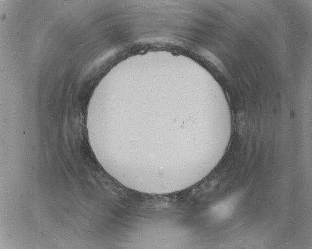 X0000062911111200602031850