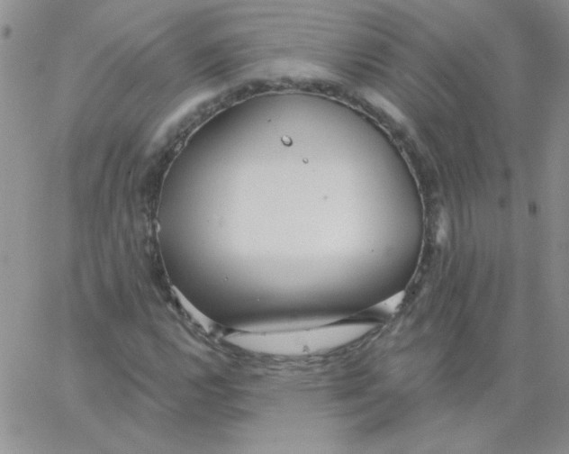 X0000062911112200602031850