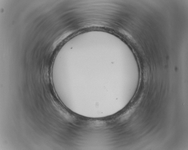 X0000062911113200602031850