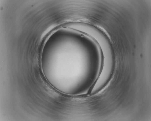 X0000062911114200602031850