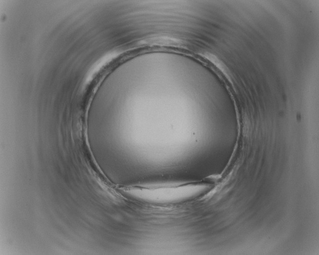 X0000062911115200602031850