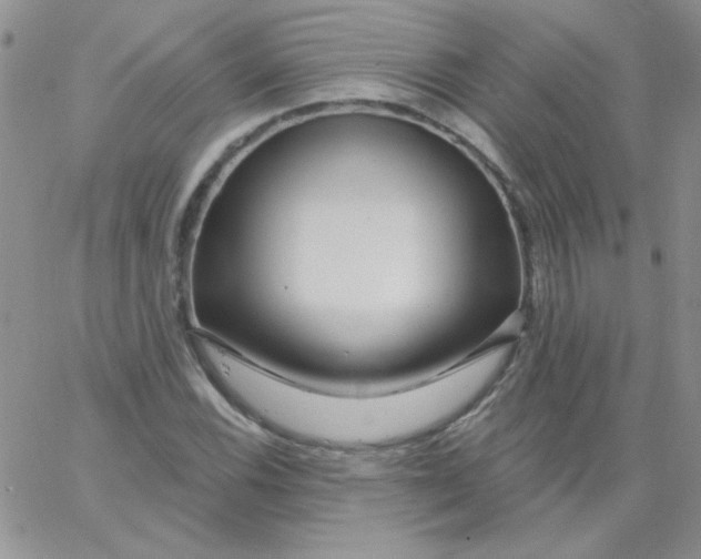 X0000062911116200602031850