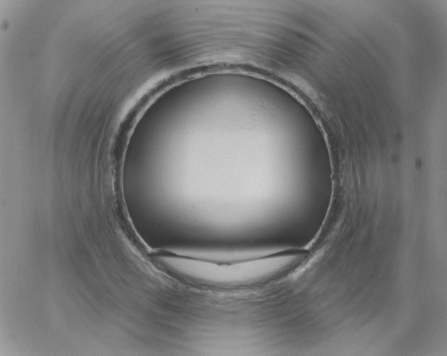 X0000062911118200602031850