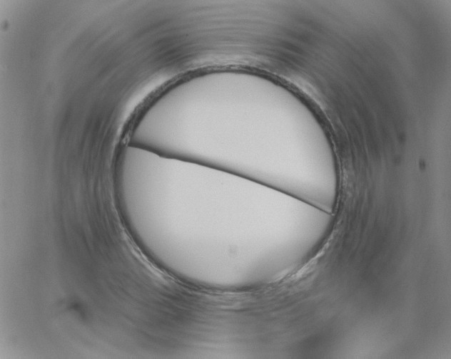 X0000062911119200602031850