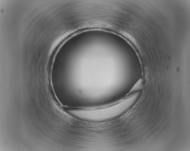 X0000062911120200602031850