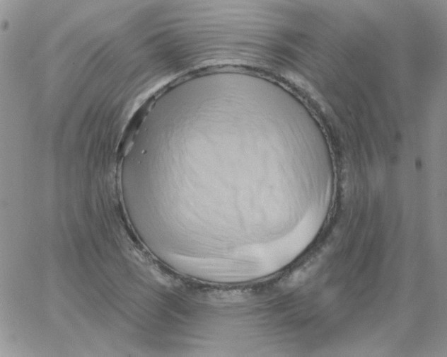 X0000062911121200602031850