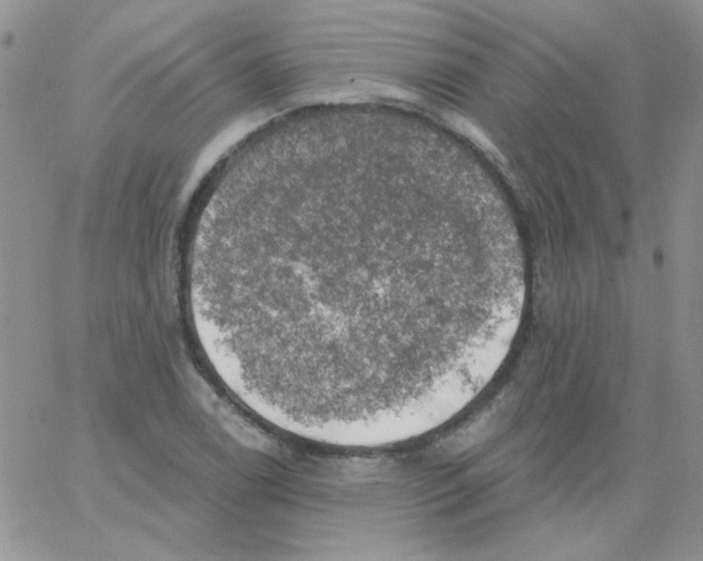 X0000062911122200602031850