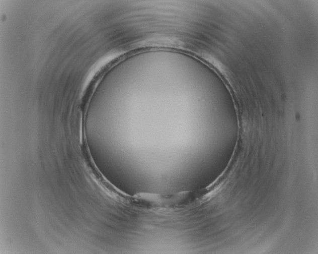 X0000062911123200602031850