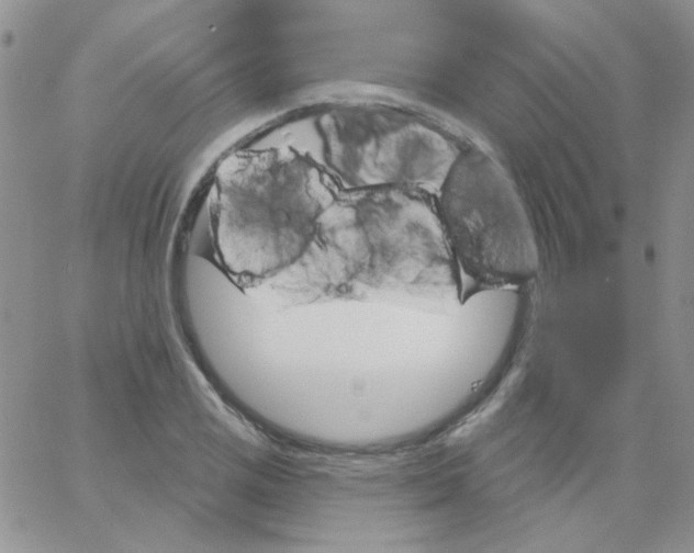 X0000062911125200602031850