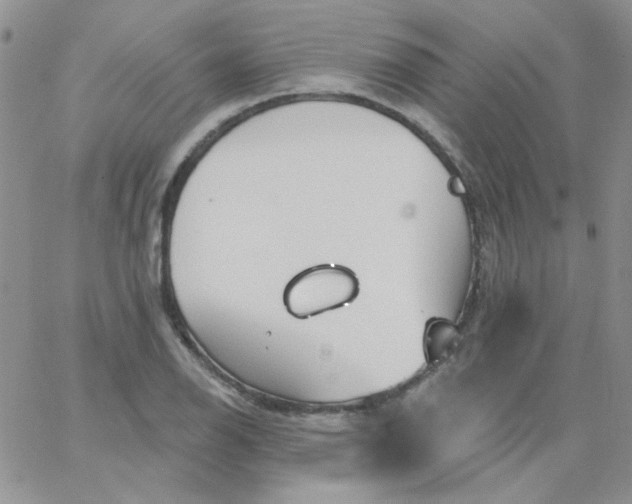 X0000062911126200602031850