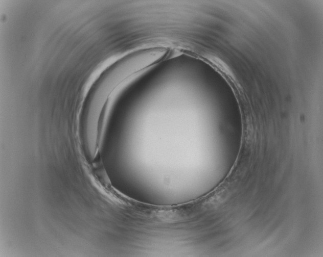 X0000062911128200602031850