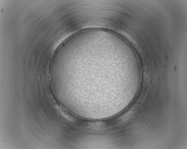 X0000062911129200602031850